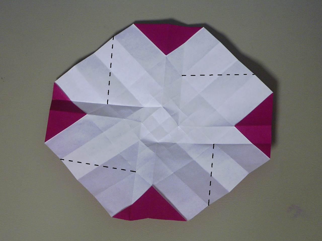 rose13