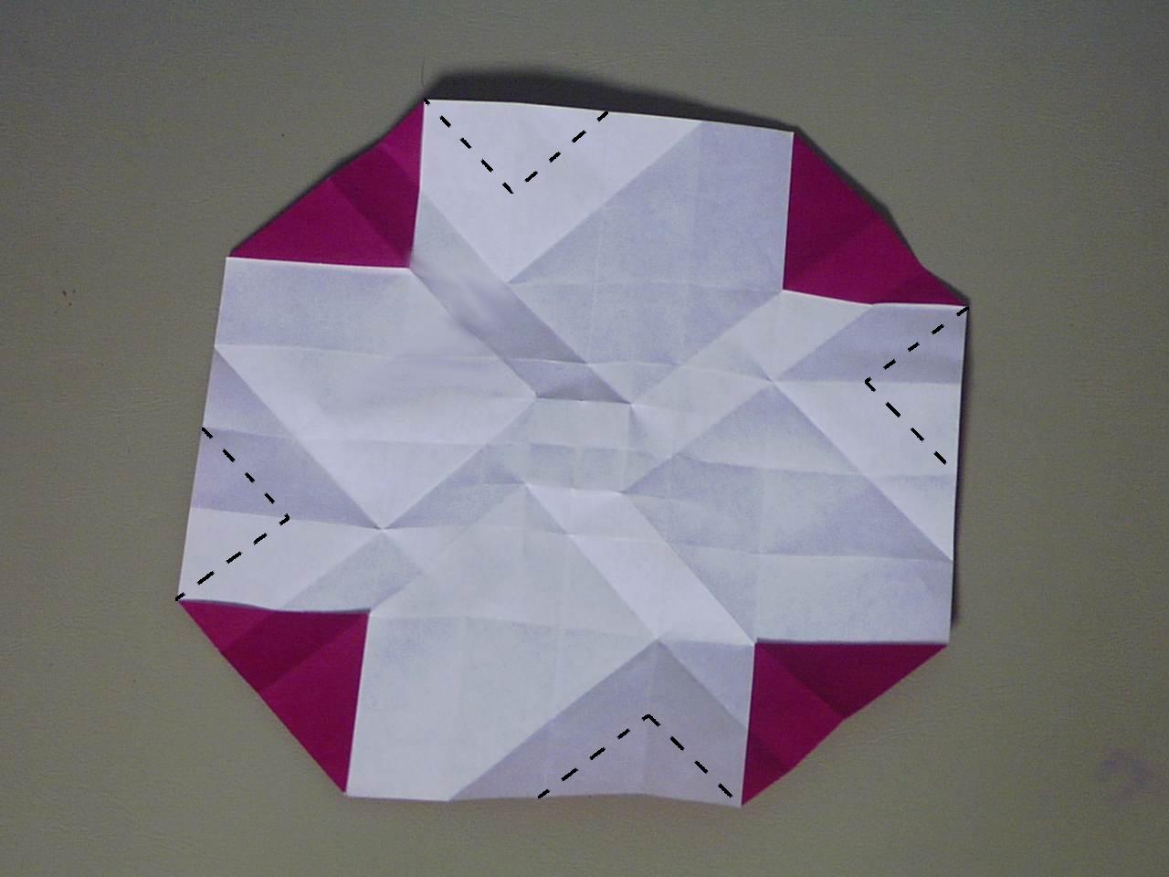 rose15