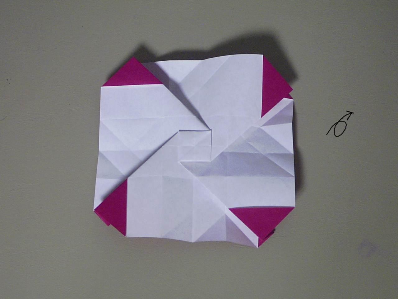 rose24