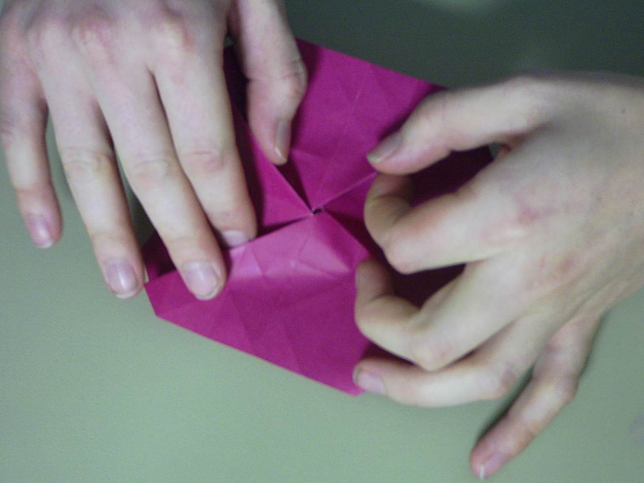 rose25