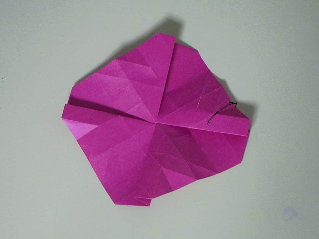 rose26
