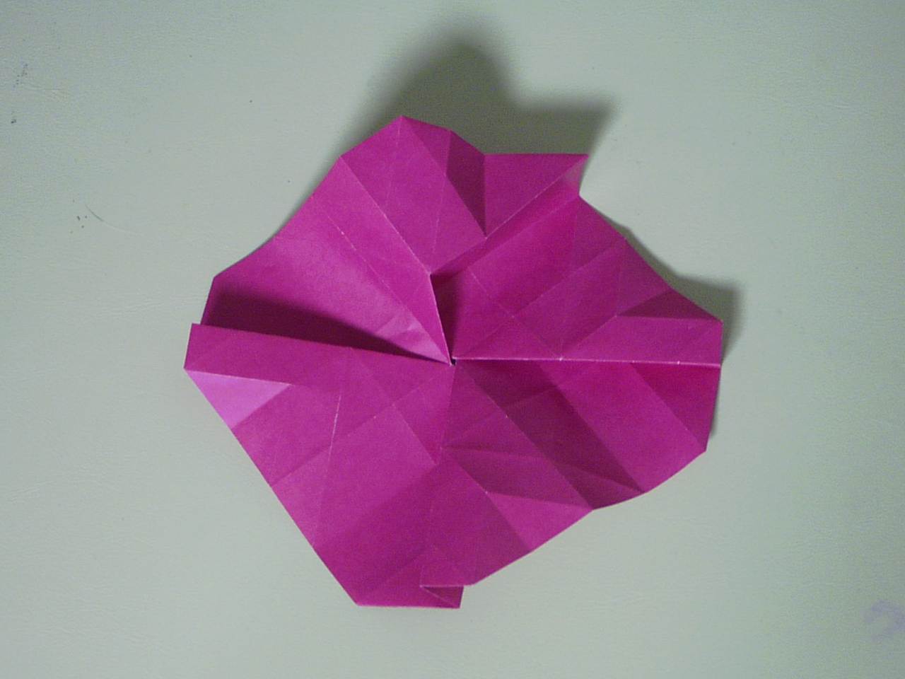 rose28
