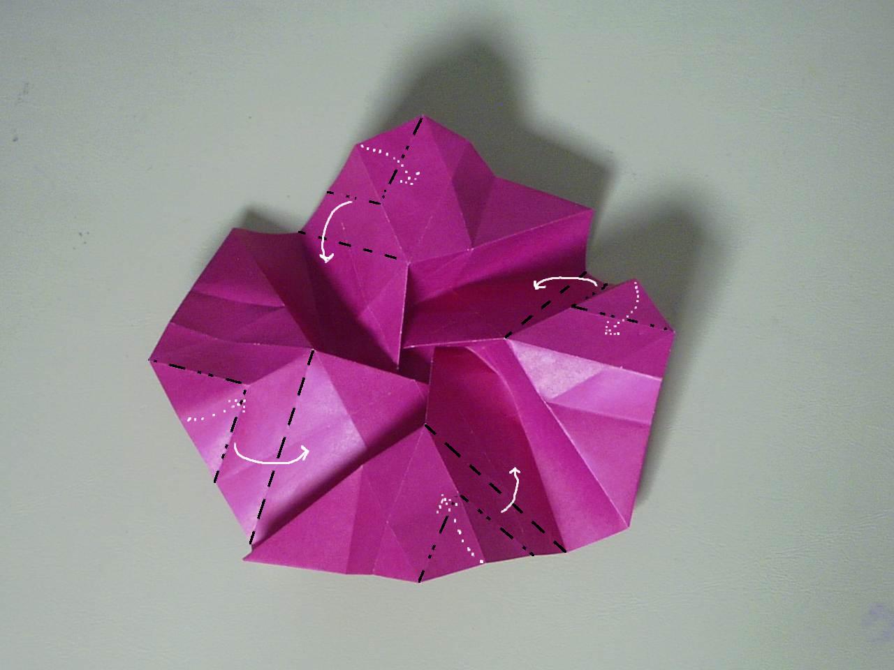 rose29