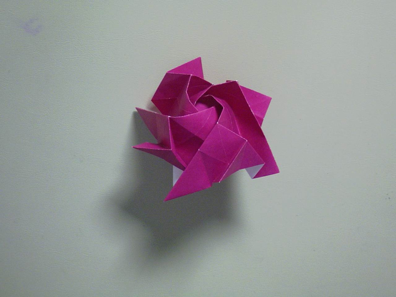 Rose | DofTNet Origami