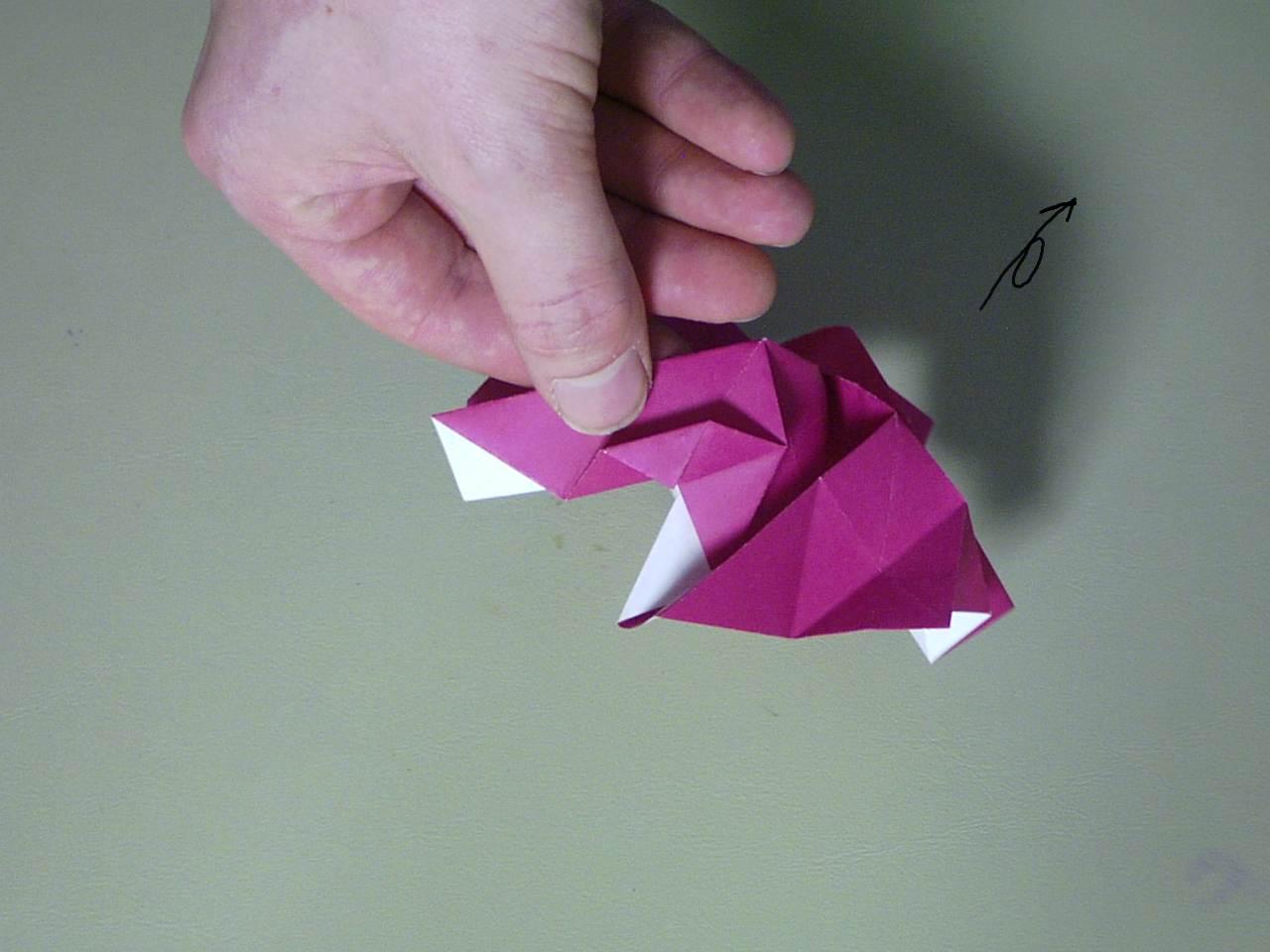 rose38