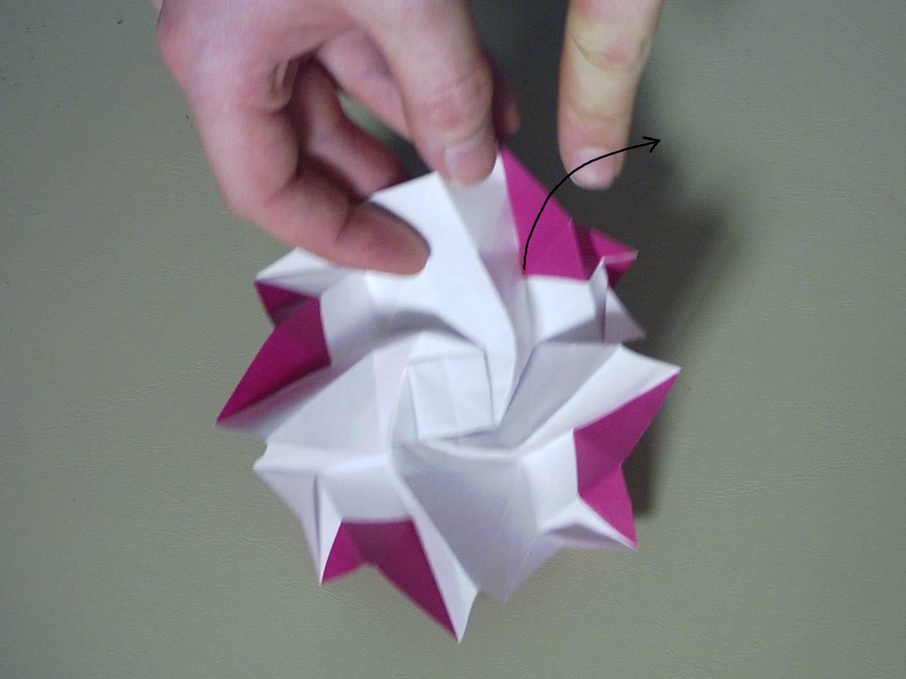rose39