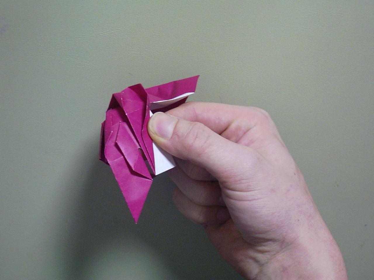 rose48