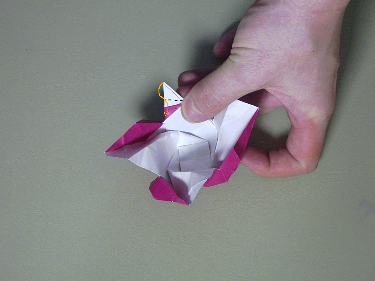 rose50