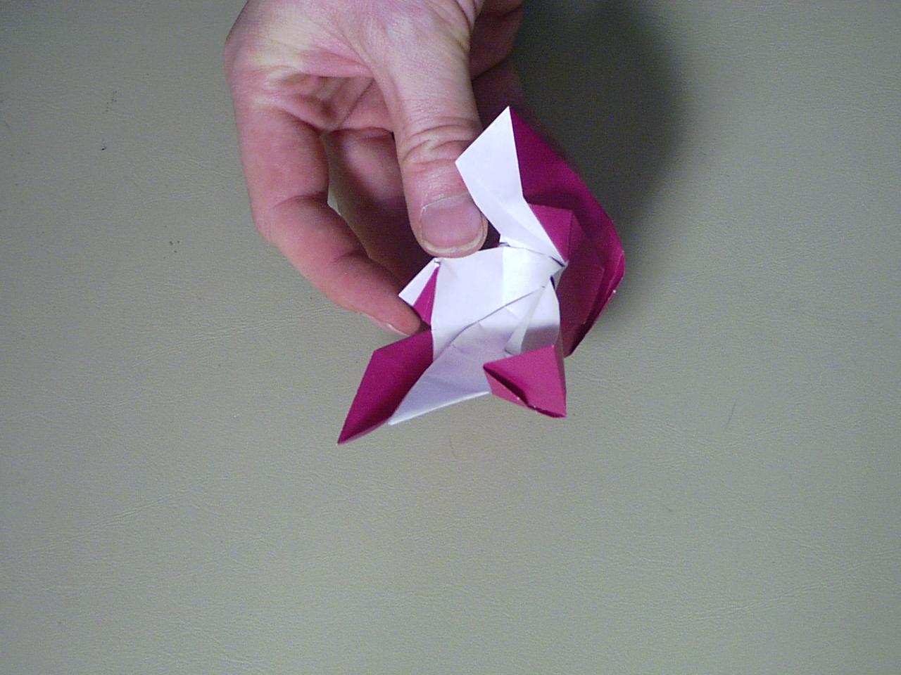 rose51