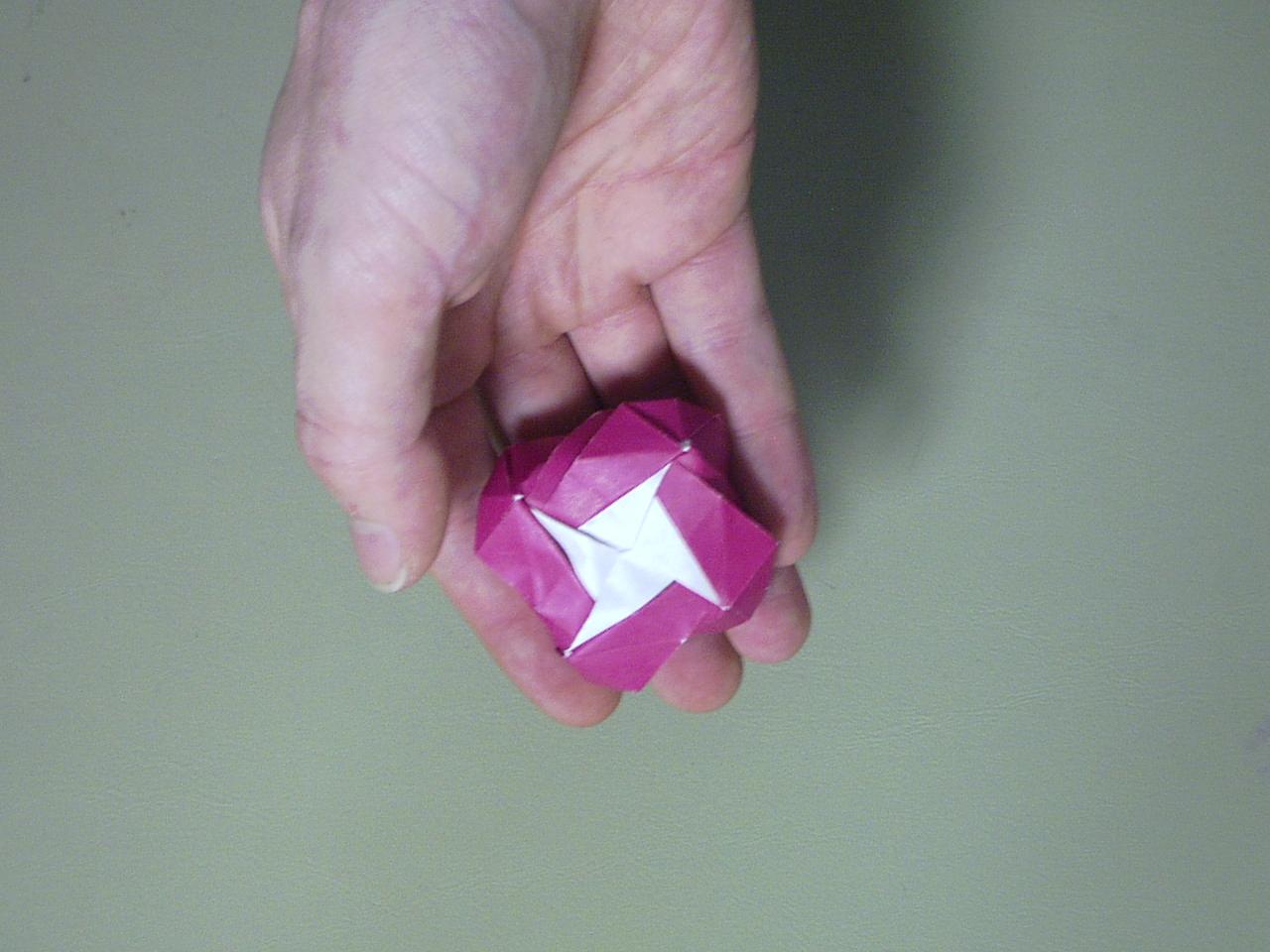 rose54